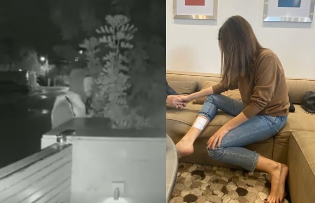 نانسي عجرم
