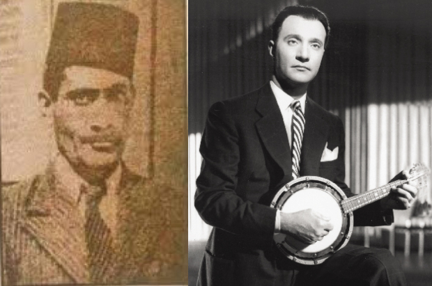 الشاعر عبد الحميد الديب