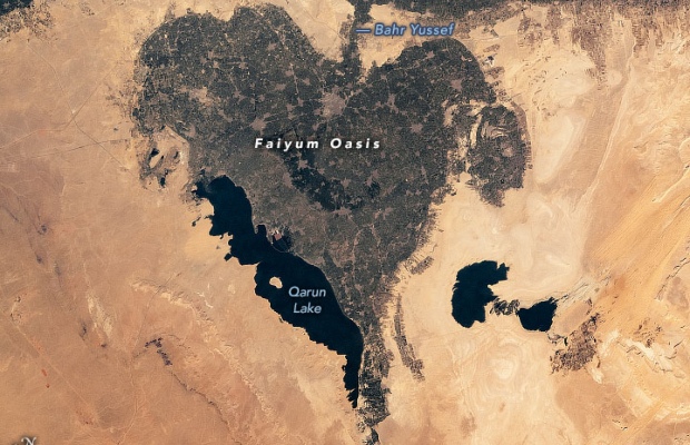مدينة الفيوم