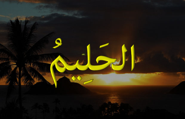 الحليم