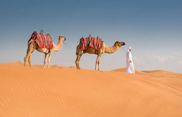 الجمل