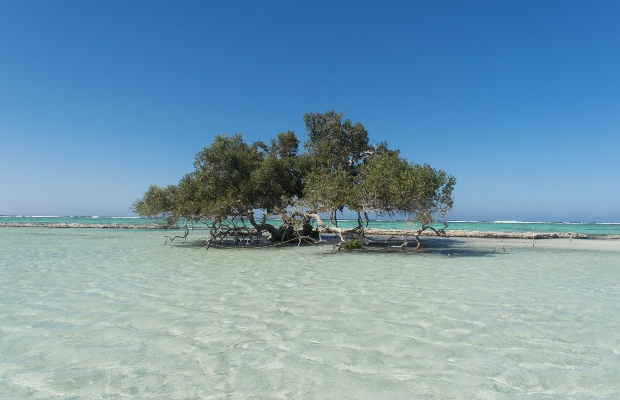 وادي الجمال