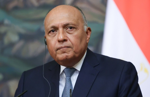 وزير الخارجية المصري سامح شكري