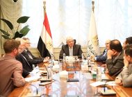 أيمن عاشور