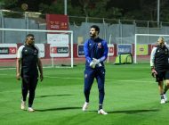 محمد الشناوي