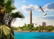 الأرصاد